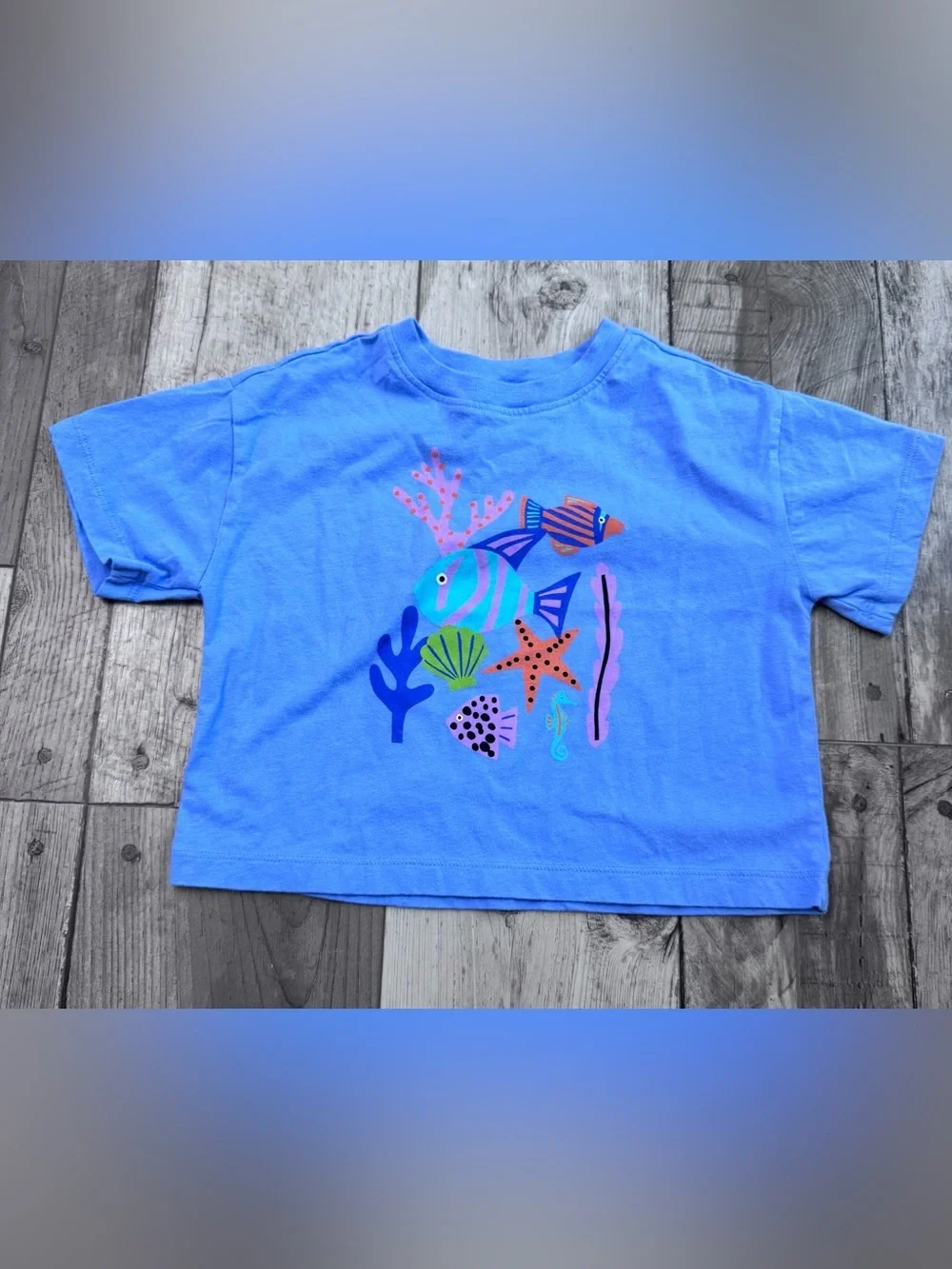 Hanna Andersson Seascape Boxy Tee T-Shirt Summer Blue 3 3T